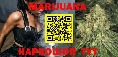 сатива Моздок