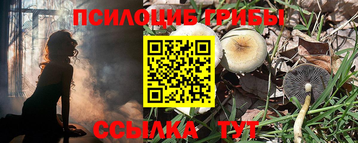 Псилоцибиновые грибы Psilocybine cubensis  Вход с VPN  Воскресенск 